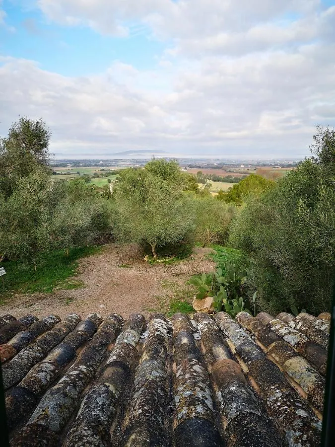 Son Vell. Mallorca. Casa Amb Piscina Ecologica. Manacor  Espanha