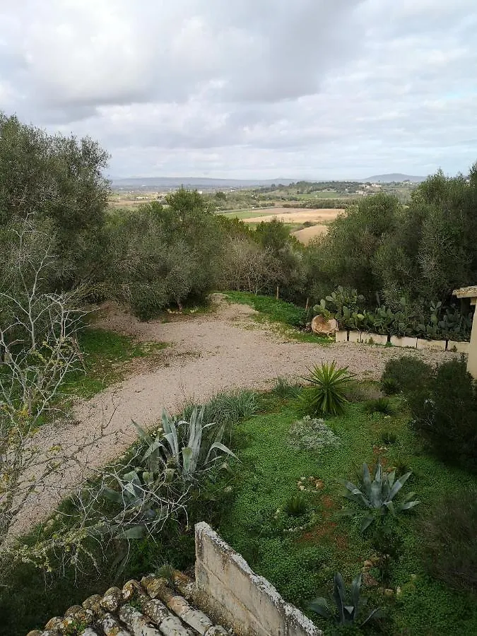 Son Vell. Mallorca. Casa Amb Piscina Ecologica. Manacor  Casa de Férias Manacor (Mallorca)