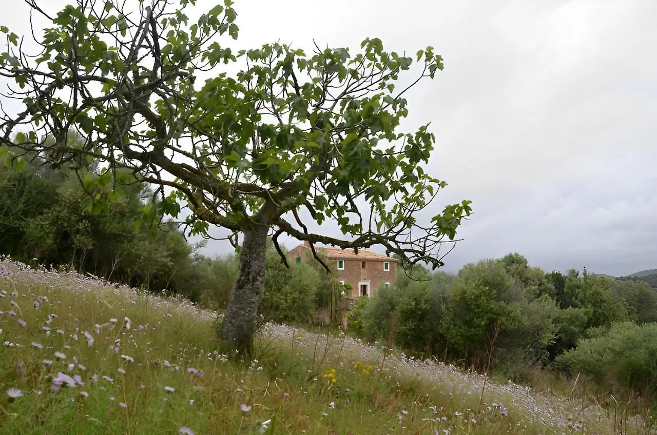 Casa de Férias Son Vell. Mallorca. Casa Amb Piscina Ecologica. Manacor  Espanha